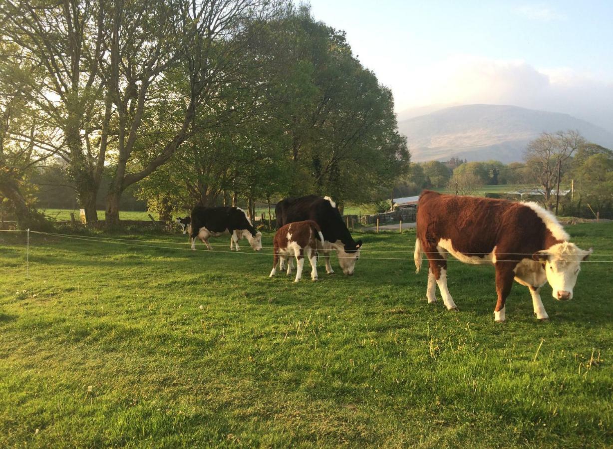 Inveraray Farm Бофорт Экстерьер фото